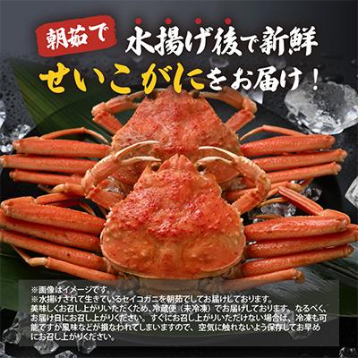 ふるさと納税 美浜町 【2025年11月より順次発送】《おまかせ》茹でセイコガニ　10杯　茹でたてをその日に発送致します |  | 01