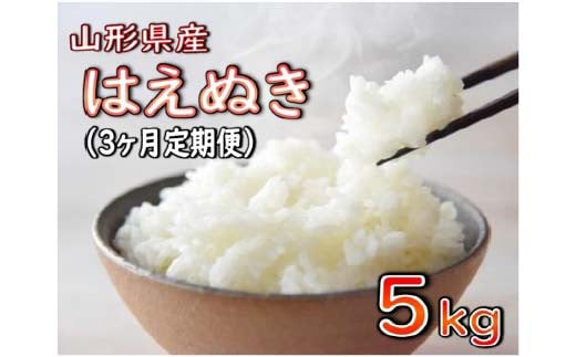 はえぬき 5kg×3回 定期便 3カ月連続【2024年11月発送開始】令和6年産 山形県産 米 コメ こめ F3S-2249