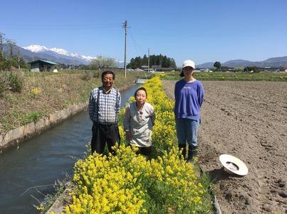 『どじょうのいる田んぼのお米』コシヒカリ 白米 約27kg | 馬場農園
