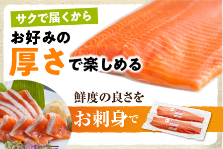 【2024年7月上旬発送】活〆海峡サーモン　お刺身さくと生切身A(冷蔵)　特製漬タレ付