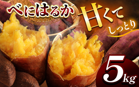 甘くておいしい！べにはるか 5kg 先行予約 ＜ 2025年9月中旬 ～ 12月 の期間より順次発送予定 ＞｜ さつまいも サツマイモ 芋 いも 野菜 紅はるか べにはるか 5kg