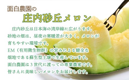 【令和7年産 先行予約】 庄内砂丘メロン　2L～4Lサイズ　約4.5㎏～5kg　(3～5玉)　つるなしアンデスメロン　山形県鶴岡市産　面白農園