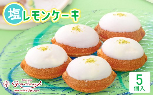 【ふるさと納税】北谷の塩レモンケーキ5個入り | 沖縄 レモンケーキ 北谷の塩 ケーキ 人気 人気店 おすすめ 北谷 ちゃたん おすすめ 送料無料