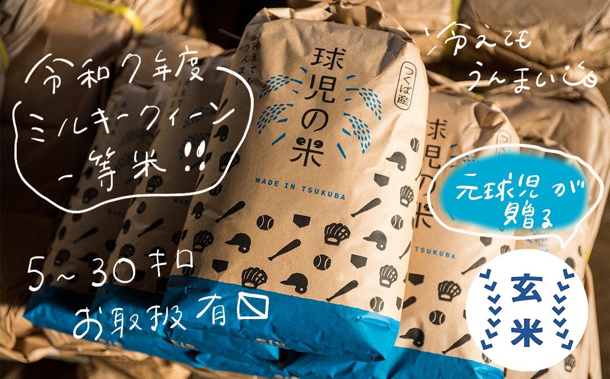 令和7年産 一等米 球児の米 （ ミルキークイーン玄米 ） 10kg | 米 こめ コメ お米 ご飯 5kg 10kg 20kg 30kg 玄米 ミルキークイーン おすすめ 茨城県 つくば市