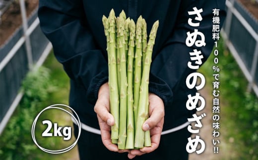 グリーンアスパラガス さぬきのめざめ 2kg 朝採れ 鮮度バツグン 有機肥料 早朝収穫 人気 シャキシャキ 食感 新鮮 瑞々しい 甘い 歯ごたえ ロングサイズ  アスパラガス 農場 収穫 特別品質 高品質 希少品質 美しい フレッシュ 品種改良 減農薬 野菜 旬 丸亀市 藤井農園