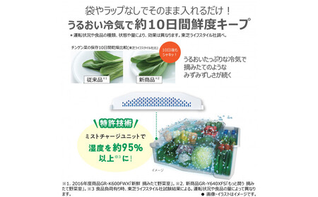 東芝　冷蔵庫【標準設置費込み】　465L　5ドア　左開き　冷凍冷蔵庫　GR-Y470GSHL(EC)