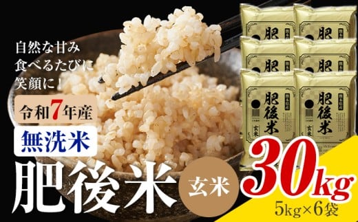 熊本県産 肥後米 無洗米 玄米 30kg 1袋5kg 米 お米 令和7年産 九州産 熊本県産 送料無料【30日以内に出荷予定（土日祝除く）】玄米 無洗米 米