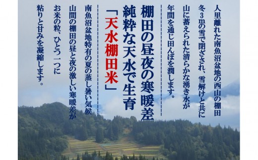 令和8年産米 定期便【天水棚田米】特別栽培米雪蔵熟成塩沢産コシヒカリ精米4kg11回「とやの里山継承プロジェクト」【定期便 銘柄米 精米 こしひかり コシヒカリ 魚沼産 新潟米】【2026年10月下旬