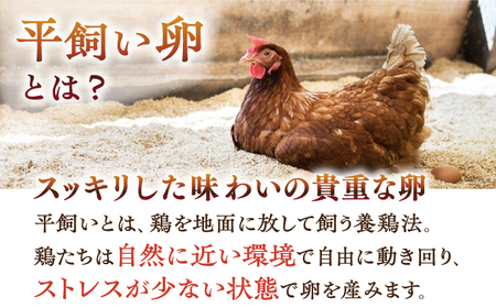 【平飼い卵のみ使用】【冷蔵配送】ジュリアンプリン6本セット＜お菓子のいわした＞ [CAM026]