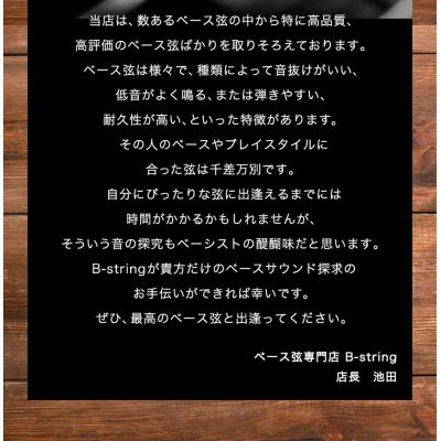 ふるさと納税 笠岡市 ベース弦専門店 B-stringオリジナル高品質ハンドメイドベース弦(ニッケルタイプ)B-17 |  | 03