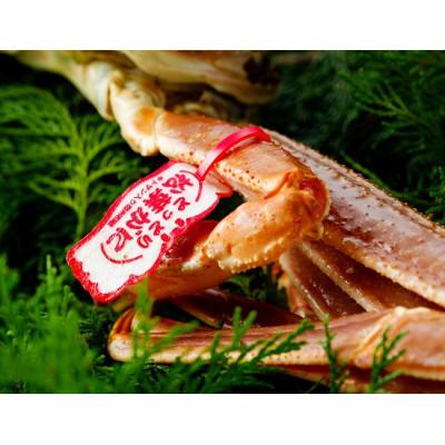ふるさと納税 若桜町 【先行予約】鳥取県産　タグ付き活松葉がに　1.2kg以上×1枚 |  | 01