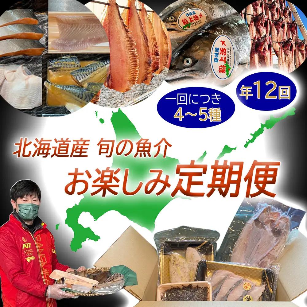 定期便12回 北海道産 旬の魚介 4～5種 お楽しみ定期便 鮮魚