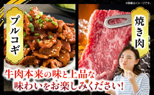 【令和8年6月から毎月配送】3か月定期便 月替わりで堪能!! 宮崎牛 イチオシ 焼肉 セット お楽しみ 定期便 総重量1.5kg ブランド牛 牛肉 黒毛和牛 国産 霜降り 赤身 人気 おすすめ 高級 