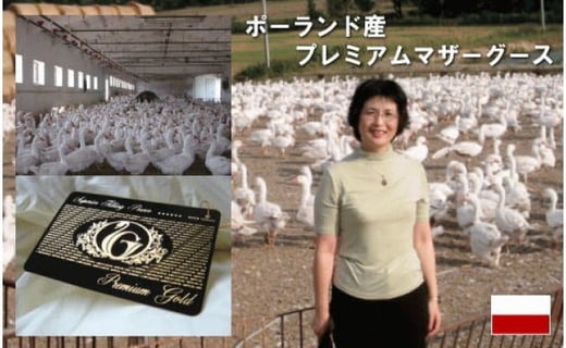 【掛け布団】【プレミアムゴールドラベル】コウダ種ポーランドマザーグース95％羽毛掛け布団（クイーン：210cm×210cm）【羽毛ファクトリーすやすや】