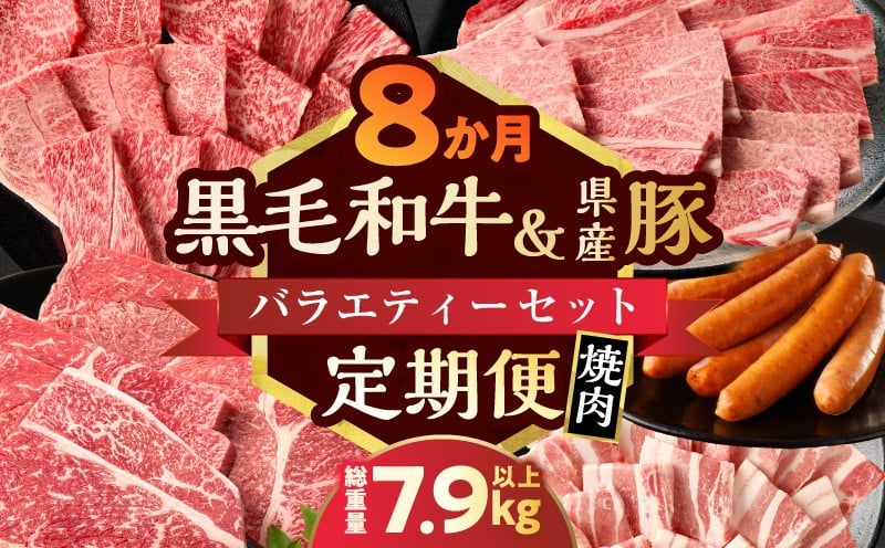 
            ≪8か月定期便≫黒毛和牛＆県産豚バラエティーセット(焼肉)総重量7.9kg以上 肉 牛 牛肉 国産_T030-180
          