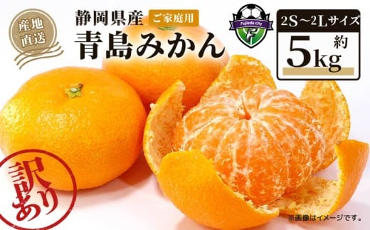 【糖度約12度】※2026年1月上旬～順次発送 訳あり 青島 みかん 5kg 家庭用 青島みかん 果物 国産 フルーツ 柑橘 蜜柑 【期間限定】 季節限定 訳あり品 サイズいろいろ 大きさ 不揃い ミカン  静岡県 藤枝市 mikan mandarin orange 国産 家庭用 お取り寄せ FG320-3930