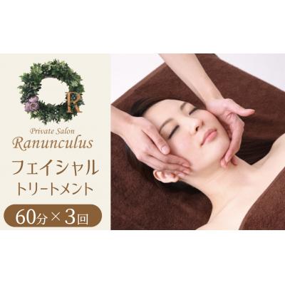 ふるさと納税 碧南市 フェイシャルトリートメント60分利用券(1名様3回分)H178-006