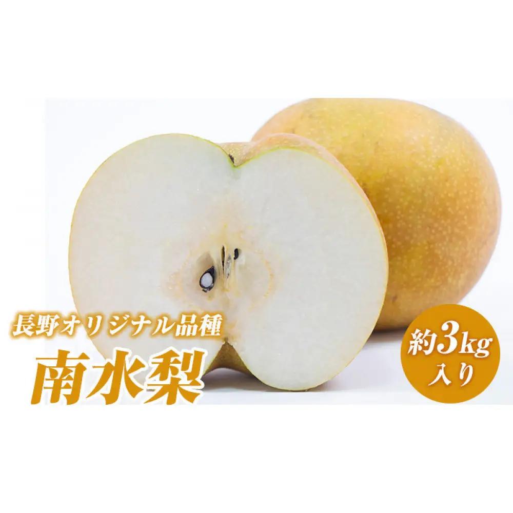 南水梨(約3kg:6玉～12玉)【2026年9月中旬以降発送予定】(さらしな青果)果物 くだもの フルーツ 旬 梨 なし ナシ 長野県 家庭用 訳あり | 梨