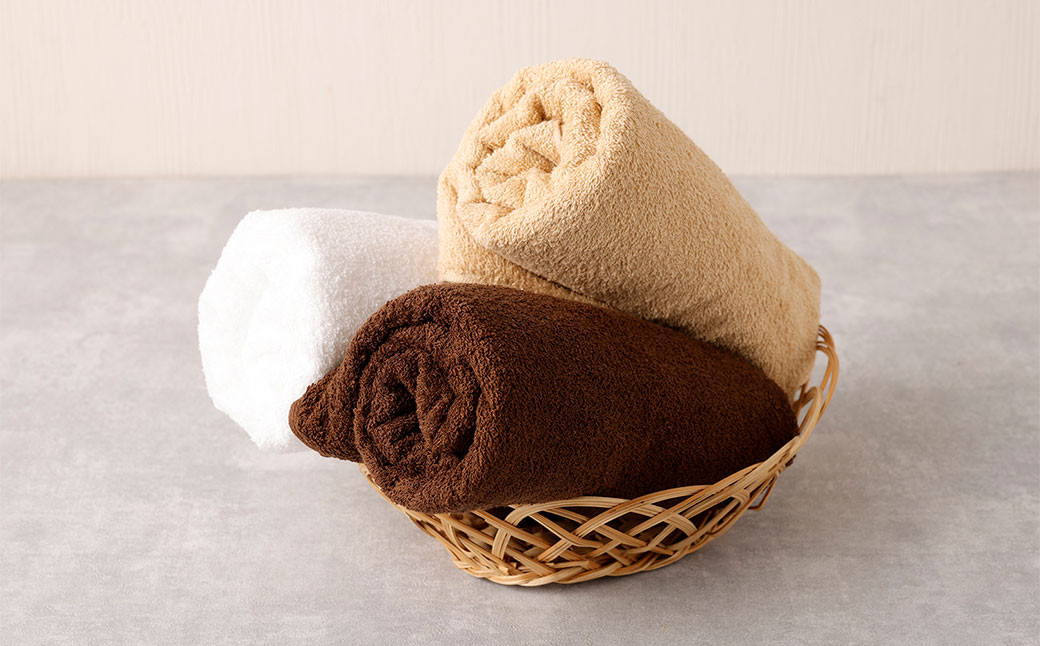 ＜選べるカラー＞ 泉州タオル 幅60cm 厚手 ふわふわ バスタオル 10枚入り 800匁
