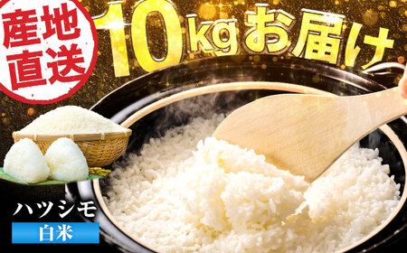 【令和6年度産】岐阜県産米ハツシモ10kg 米 米 米　岐阜市 / 藍川ファーム[ANHI002]