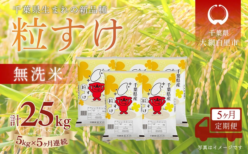 
                  ＜5か月定期便＞ 千葉県産「粒すけ」無洗米 5kg×5か月連続 計25kg
                