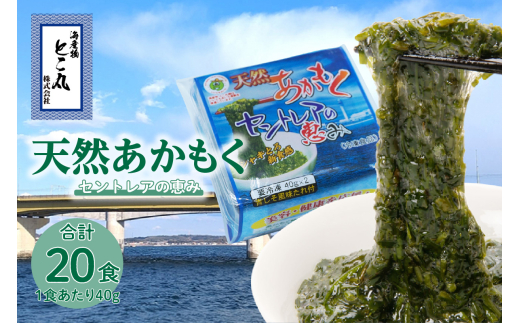 天然あかもくセントレアの恵み【2連パック×10】