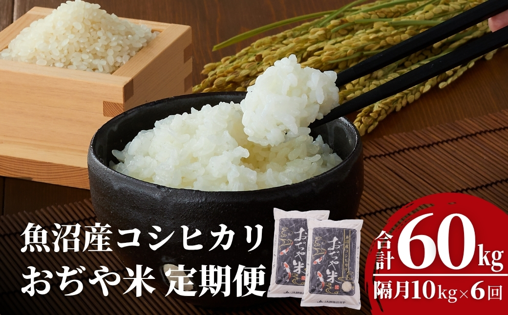 令和7年産 魚沼産コシヒカリ定期便 5kg×2袋×6回（隔月お届け）JA魚沼 白米 魚沼 米 定期便