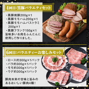 【F90003】＜定期便・全6回＞肝付町セレクト定期便《鰻と豚肉を楽しむ定期便》 鹿児島 豚肉 鹿児島県産 黒豚 鰻 うなぎ ウナギ とんかつ しゃぶしゃぶ ハム ウィンナー 定期便 セレクト 冷凍 
