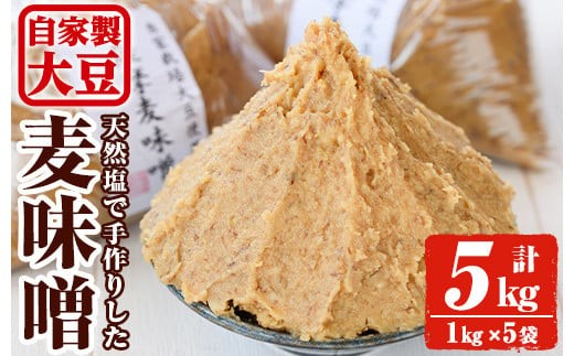 
                  y242 《先行予約受付中！2026年7月以降順次発送》手作り麦味噌(計5kg・1kg×5袋) 国産 九州産 味噌 麦みそ むぎみそ 無添加 調味料 麹 こうじ 味噌汁 みそ汁 調味料【ほかむら】
                