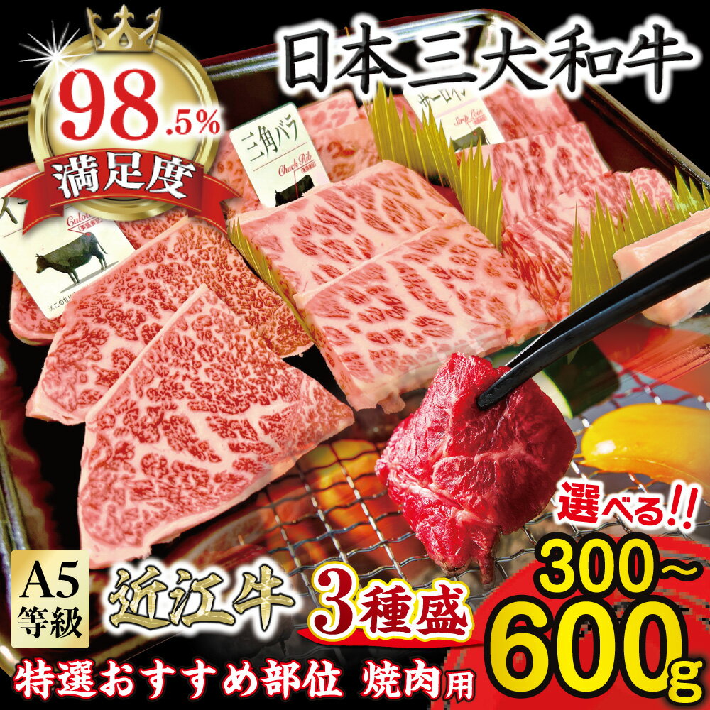 【ふるさと納税】A5等級未経産雌牛　特選近江牛おすすめ部位　焼肉3種盛り 選べる 300g / 600g 近江牛 国産 牛肉 近江フードJAPAN 冷凍