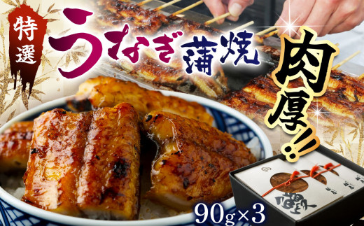 特選　蒲焼うなぎ（短冊）肉厚うなぎを炭火焼！ ｜ふるさと納税 特選 蒲焼うなぎ 短冊 肉厚うなぎ炭 高級蒲焼 国産うなぎ 肉厚 炭火焼うなぎ 贅沢 肉厚うなぎ蒲焼特選 炭火焼うなぎ ギフト 栃木県 那珂川町 送料無料