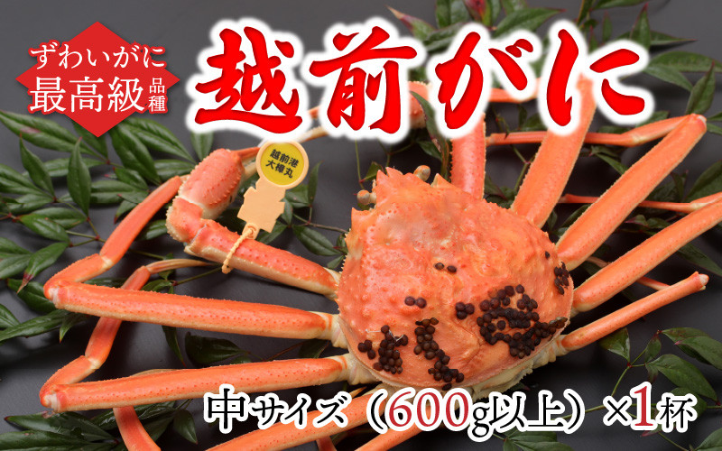 
            北陸の冬の味覚の王者！越前がに（オス）「ずわいがに」中サイズ600g以上 × 1杯 [G-11003] / かに カニ ギフト グルメ 冷蔵 福井県
          