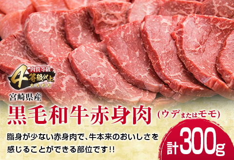 数量限定 黒毛和牛 赤身肉 豚ロース 焼肉 食べ比べ セット 合計800g 肉 牛肉 豚肉 国産 ミヤチク ウデ モモ おかず お弁当 食品 BBQ キャンプ アウトドア グランピング ご褒美 記念日