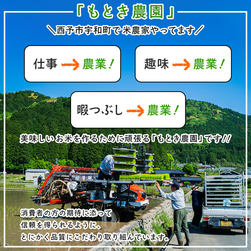 【先行予約】＜令和8年産 愛媛県西予市産 コシヒカリ 10kg＞ お米 コメ こめ 白米 精米 ご飯 新鮮 10キロ 国産 愛媛県産 宇和町産 こしひかり 特産品 もとき農園 愛媛県 西予市
