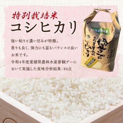 ふるさと納税 西予市 <令和7年産:西予市宇和町産特別栽培米コシヒカリ10kg>　コメ　ご飯　ゴハン　特産品　こしひかり |  | 03