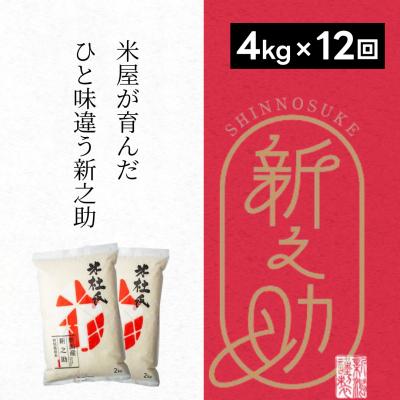 ふるさと納税 阿賀野市 【令和7年産】【12ヶ月定期便】米杜氏 新潟県阿賀野市産  特別栽培米 新之助 4kg×12回
