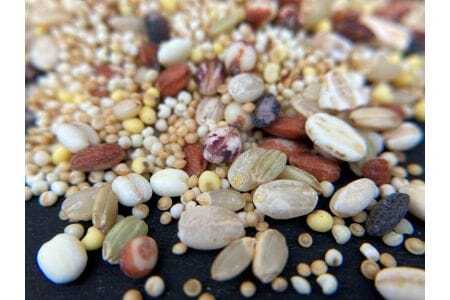 オリジナルブレンド五穀米・十五穀米　4個セット