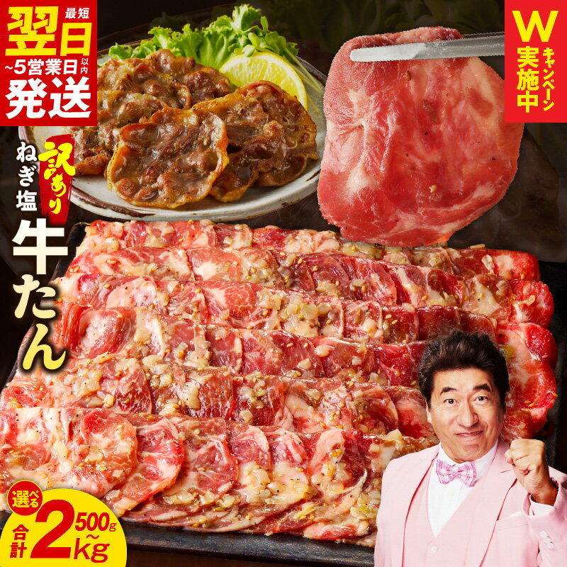 【ふるさと納税】【訳あり】 ＼最短翌日〜5営業日以内発送／ 選べる ねぎ塩 牛たん 成型 合計 500g / 1.5kg / 2kg 小分け 味付け お肉 牛肉 タン 焼肉用 BBQ 薄切り スライス サイズ不揃い 真空パック 冷凍 泉佐野市 送料無料 肉の泉佐野 アキラCP