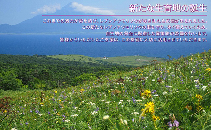 【礼文島リボンプロジェクト】北海道 礼文島産 新鮮生うに エゾバフンウニ 80g×2パック(ピンバッジ付)［野崎水産］【 うに ウニ 雲丹 生うに バフンウニ 自然保護 寄付 海鮮 】