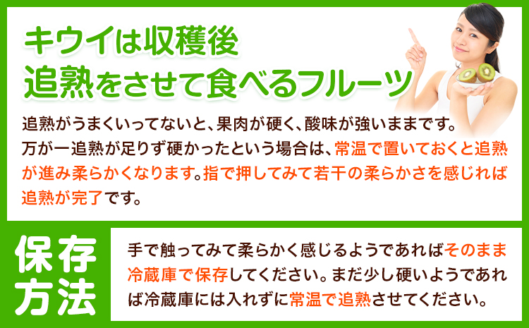 和歌山県紀の川市産 キウイ約5kg ときわオンライン《12月下旬5月中旬頃出荷》 和歌山県 紀の川市 キウイ キウイフルーツ 果物 フルーツ 送料無料