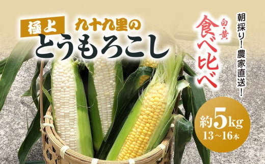 【2025年6月より順次発送！】朝採り!農家直送! 九十九里の極上とうもろこし 白色 黄色 食べ比べ 約5kg（13～16本）／とうもろこし トウモロコシ コーン ゴールドラッシュ ワクワクコーン 白いとうもろこし 味甘ちゃんホワイト 濃厚な甘み 新鮮 農家直送 千葉県 千葉県山武市 SMBU002