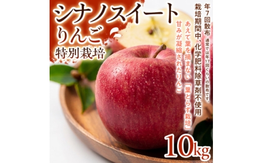 ＜甘みしっかり＞シナノスイート 10kg 1セット【1779925】
