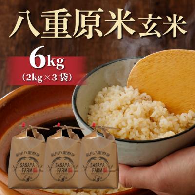 ふるさと納税 東御市 令和7年新米受付!八重原米6kg(2kg×3袋)玄米 ※2025年10月以降順次発送|笹屋農園