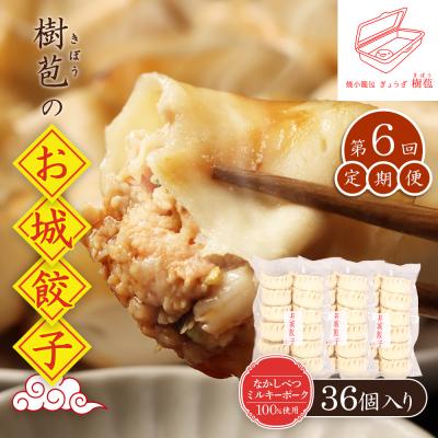 ふるさと納税 中標津町 【定期便:6回】【なかしべつミルキーポーク100%使用】 樹苞 お城餃子36個【53016】