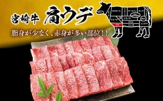 【12月末までにお届け】【畜産農家応援】数量限定 厳選 宮崎牛 赤身 焼肉 計500g 粗挽きウインナー 牛肉 国産焼き肉 BBQ 鉄板焼き バーベキュー 人気 黒毛和牛 肩ウデ モモ A4 A5 等