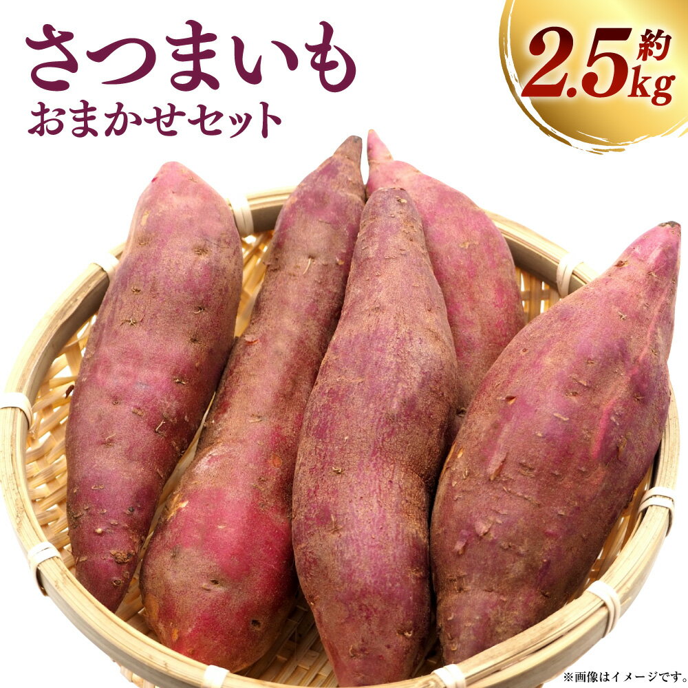 【ふるさと納税】さつまいも おまかせセット 約2.5kg （紅はるか ／ 安納芋 ／ 紫芋） 【2026年12月上旬～2027年1月下旬迄順次発送予定】 いも イモ 芋 サツマイモ 食品 高知県 香美市 送料無料