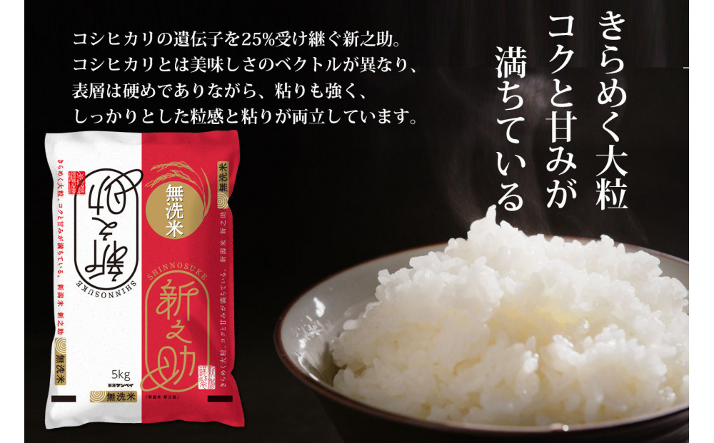 無洗米 新潟産 新之助5kg 令和6年産 精米