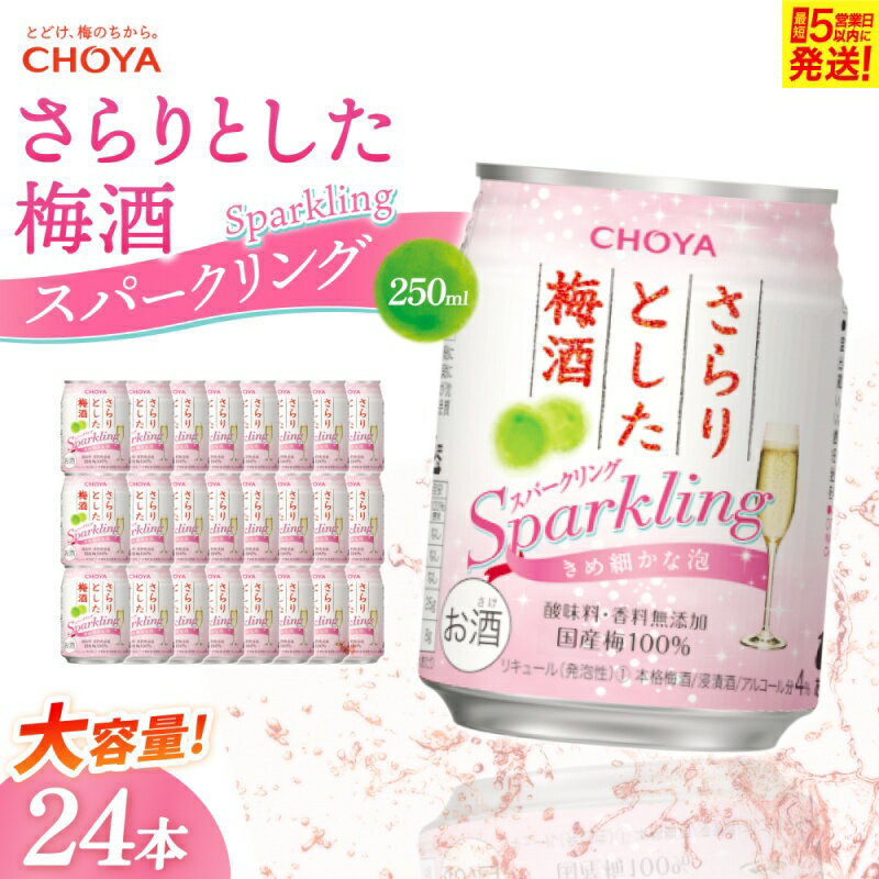 【ふるさと納税】梅酒 《チョーヤ梅酒 さらりとした梅酒スパークリング》（250ml缶×24本）/さーらりとした梅酒！でお馴染みの梅酒をスパークリングでお届け！ 梅酒 梅 ウメ スパークリング 缶 飲料 人気 おすすめ お酒 さけ 果実 炭酸 250ml 24本 送料無料