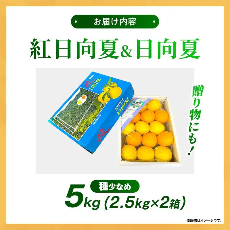 【先行予約】紅日向夏と日向夏の彩り箱 5kg 果物 フルーツ くだもの 柑橘 種少なめ フルーツサンド おやつ スイーツ デザート ジャム おすすめ ギフト 贈り物 贈答 プレゼント おすそ分け お返
