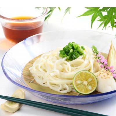 ふるさと納税 観音寺市 麺しるべ讃岐ざるうどん　60人前　本場のコシとのど越し 乾麺